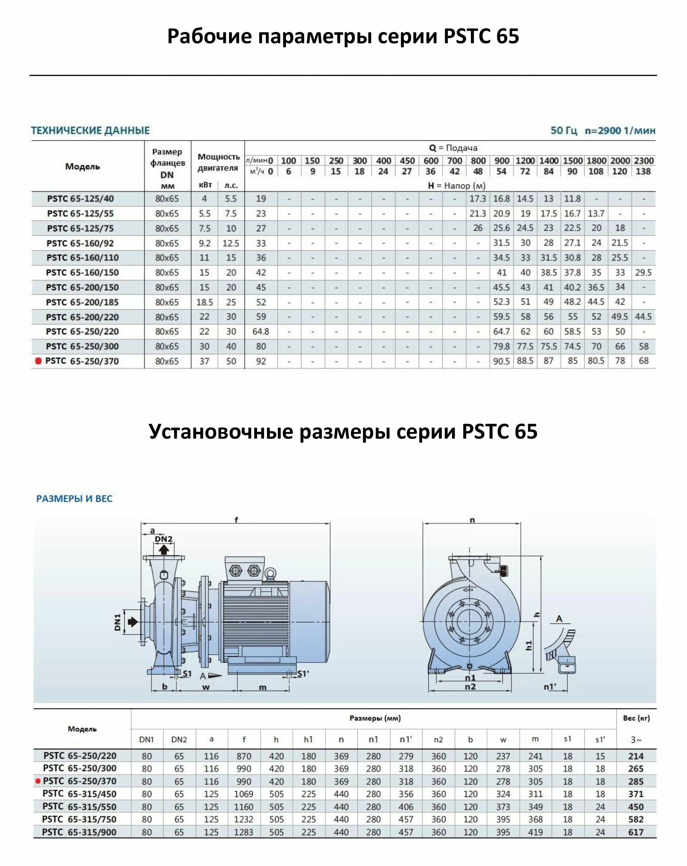 Насосный агрегат моноблочный фланцевый PURITY PSTC 65-250-370 (N)