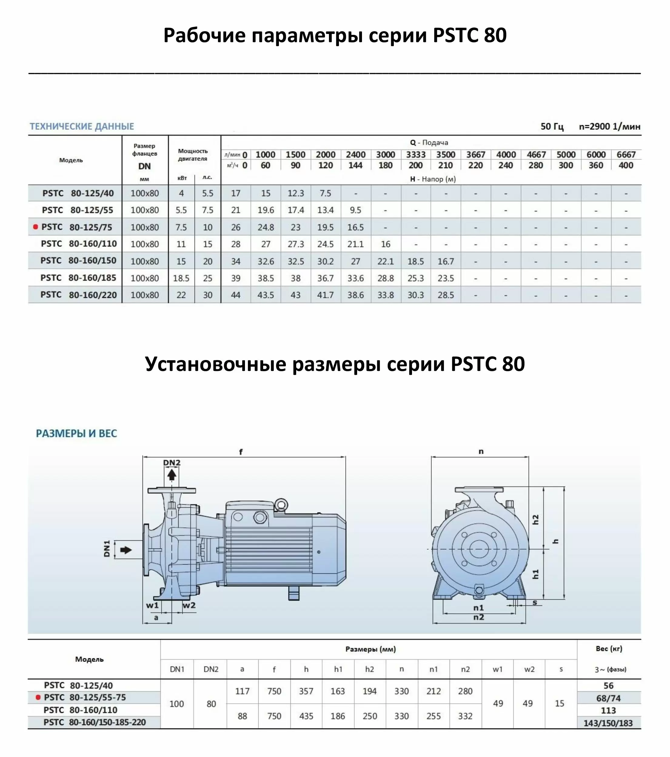 Насосный агрегат моноблочный фланцевый PURITY PSTC 80-125/75 (N)
