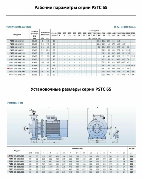 Насосный агрегат моноблочный фланцевый PURITY PSTC 65-250/220 (N)