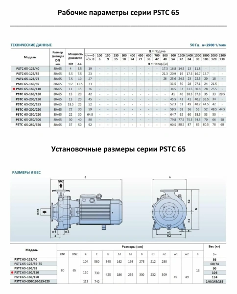 Насосный агрегат моноблочный фланцевый PURITY PSTC 65-160/110 (N)