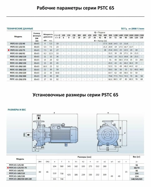 Насосный агрегат моноблочный фланцевый PURITY PSTC 65-125/75 (N)
