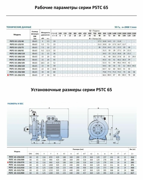 Насосный агрегат моноблочный фланцевый PURITY PSTC 65-250-370 (N)