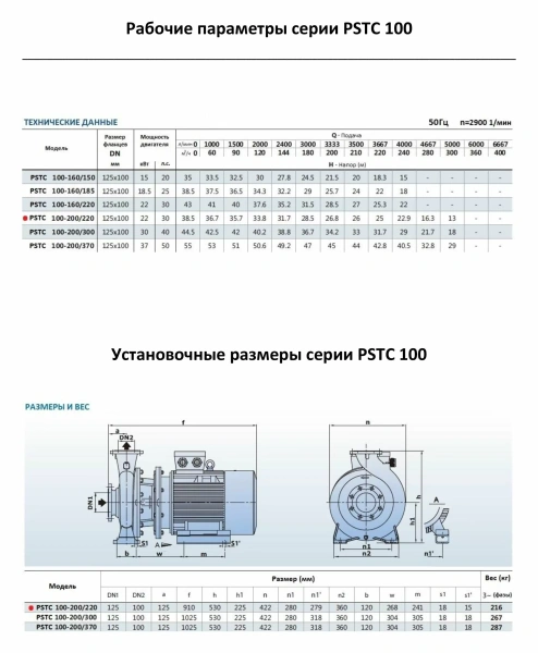 Насосный агрегат моноблочный фланцевый PURITY PSTC 100-200-220 (N)