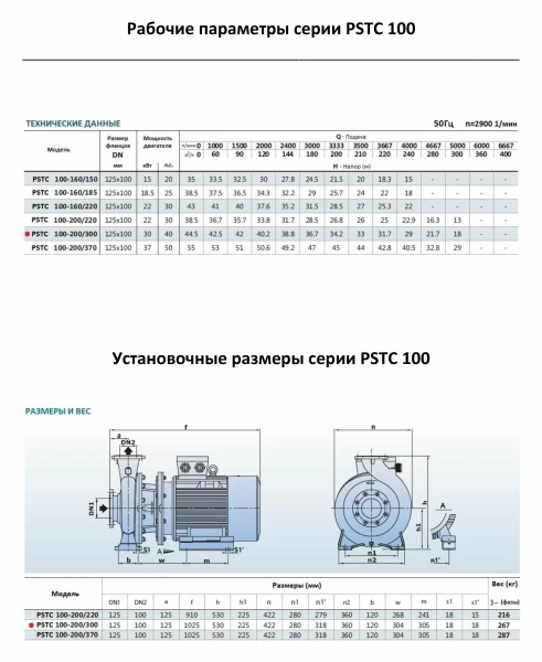 Насосный агрегат моноблочный фланцевый PURITY PSTC 100-200/300 (N)